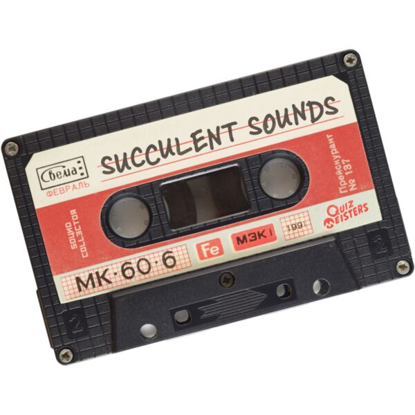 sound collector succulent sounds v3 01 Thumbnail