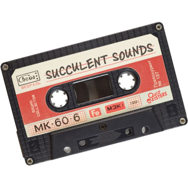 sound collector succulent sounds v3 Thumbnail